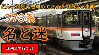 迷列車で行こう！　どんな種別でも対応できる汎用過ぎる車両373系の迷と名