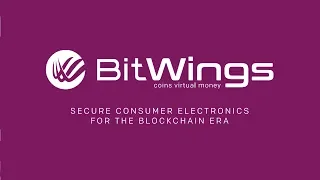 Bitwings- обзор проекта и его особенностей