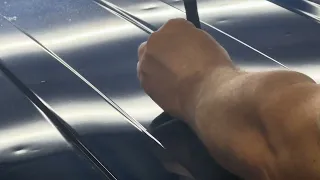 Paintless Dent Repair On Aluminum F150 Hail Damage.