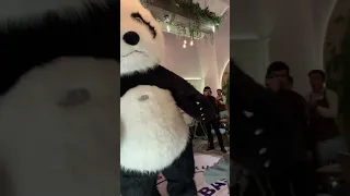 Panda şou Aliyənin ad günündə