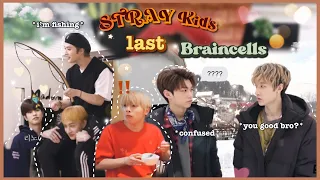 STRAY KIDS's last two BRAINCELLS aka Dumb and Dumber.*