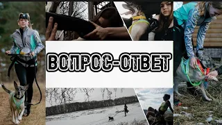 ВОПРОС-ОТВЕТ