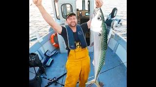 FH20 Forager - 2022 E4 - Heavyweight Mackerel fishing ;)
