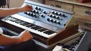 Minimoog delay jam (HD)