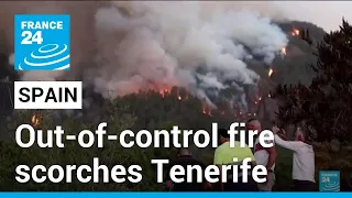 Out-of-control wildfire scorches Spain's Tenerife island, affecting thousands • FRANCE 24 English