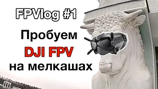 FPVlog #1 (на мелкашах с DJI FPV)