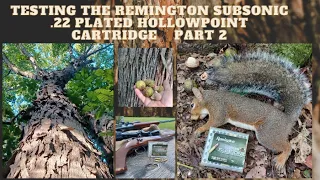 Testing the Remington Subsonic .22 Plated Hollow Point part 2