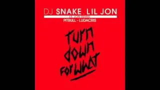 DJ Snake Feat Lil Jon & Pitbull & Ludacris (Remix)