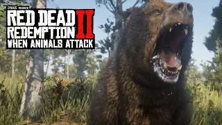 When Animals Attack #4 (Red Dead Redemption 2 Brutal Moments)