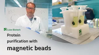 Guide to magnetic beads / MagBeads for protein purification