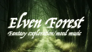 Elven Forest -  Fantasy magical forest music for DnD/roleplay/ambience/TTRPG/relaxation - 1 hour