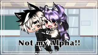 ~Not my alpha~ 10k special plz-enjoy-