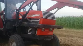 Presowanie zetor 8111