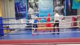 Шамиль бокс