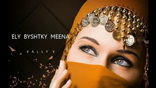El Sawareekh - Ely Byshtky Meena (Vally V. Edit)