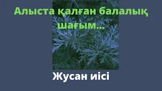 Сайын Мұратбеков."Жусан иісі" Аудиокітап