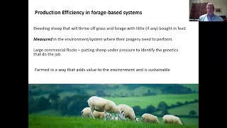 PfL Webinar - Innovis Breeding Sheep – selecting sheep for forage based systems