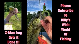 Top Water - Bass love the Z-Man Frog