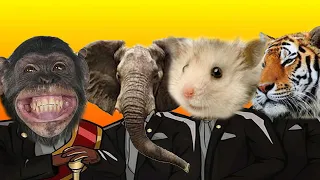 Monkey & Tiger & Elephant & Cute Hamster - Coffin Dance Meme ( Cover )