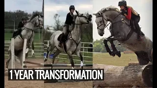 MY CRAZY HORSE'S 1 YEAR TRANSFORMATION