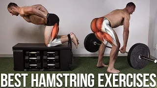 The BEST Hamstring Exercises For Strength & Size - Science of Training