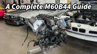 Building A BMW M60B44 "Frankenmotor" From Start To Finish | The Best V8 BMW Never Made | E31 Project