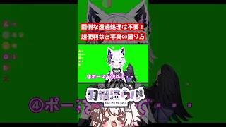 【 #vtuber 】知って得する！VTubeStudio透過スクショの撮り方【羽瑠流ウル】