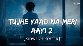 Tujhe Yaad Na Meri Ayee 2 (Slowed + Reverb) | B Praak, Jaani | SR Lofi