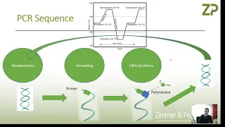 Electrochemical biosensors for DNA detection