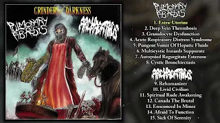 Pulmonary Fibrosis / Archagathus - Grinders Of Darkness LP FULL ALBUM (2023 - Goregrind / Mincegore)