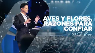 Aves, y flores, razones para confiar - Danilo Montero | Prédicas Cristianas