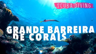 GREAT BARRIER REEF IN CAIRNS || Australia - Scuba Diving || Profundo no Mundo