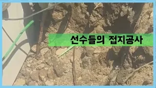 태양광발전소 -전기공사 선수들의 접지공사