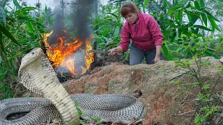 Catch Giant SNAKE Protect Animal Farm - Harvest Green Garden Go to Market to Sell, Spring Crop Care