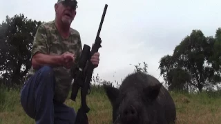 .22 LR SubSonic Vs. 400 lb Hog Hunt (Night Vision-Suppressed)