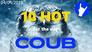 Hot Ten COUB for 04/04/2019