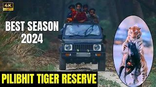 Ep 2-Pilibhit Tiger Reserve | Male Tiger Barahi from Terai Jungles | Uttar Pradesh Pilibhit Safari