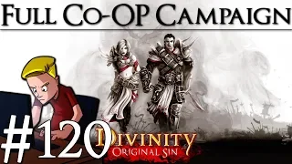 Divinity: Original Sin Enhanced Edition | Part 120 | Puzzles