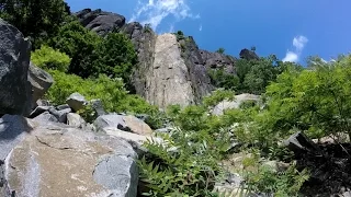 Northern New Jersey's Hidden Gem: Peanut Leap Trail at the Palisades State Line Lookout