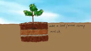 Planting a tree the Ellen White method | pictures only | with illustrations