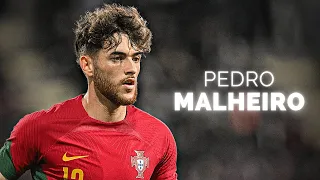 Pedro Malheiro - Season Highlights | 2023