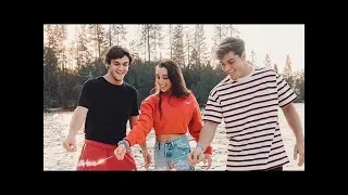 Dolan Twins and Emma Chamberlain ~ Relationship Reading