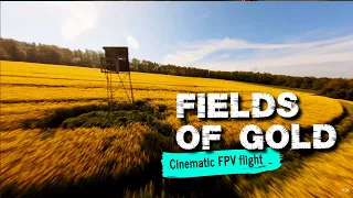 FPV Drone flight over a rapeseed field- Rapsfeld, Lahnstein, Germany - 4k