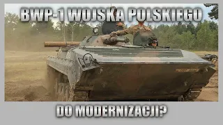 BWP-1 Wojska Polskiego do modernizacji?