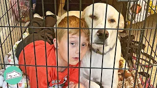 Gentle Pup Helps Dyslexic Boy Relax After School | Cuddle Buddies