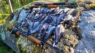 Kyyhkyn Metsästys/ Pigeon Hunting 2021 Jakso 3