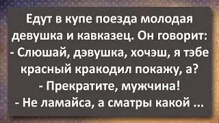 Красный Крокодил! Сборник Самых Свежих Анекдотов!