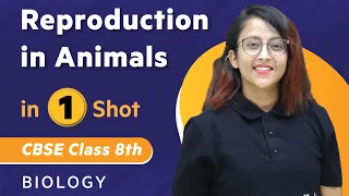 Reproduction in Animals in One Shot | Biology - Class 8th | Umang | Physics Wallah