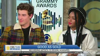 Shawn Mendes, Janelle Monae React To GRAMMY Nominations