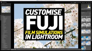 Customise Fuji Film Simulation Profiles in Lightroom
